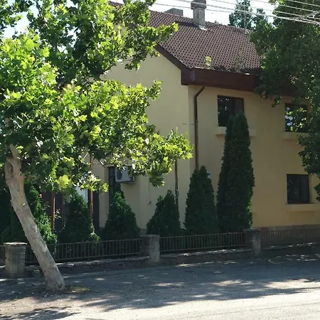 Aranylabda * Szeged